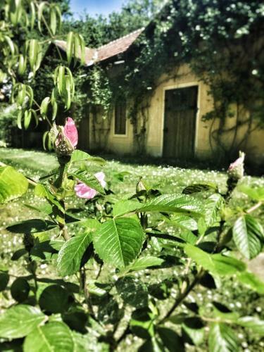 Bed & Breakfast Le Dimore de Il Borgo Del Balsamico