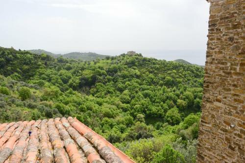 Apartamento Appartamenti Le Giare Cannicchio