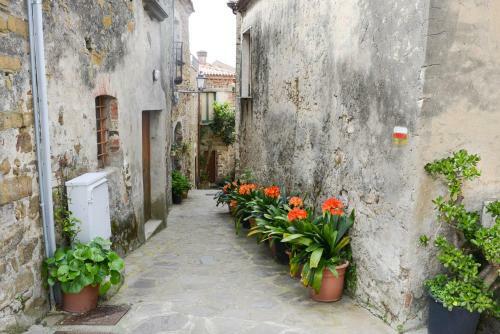 Apartamento Appartamenti Le Giare Cannicchio