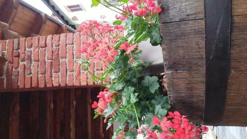 Bed & Breakfast Relais Profumo Di Vino