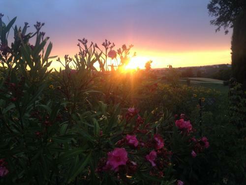 Tenuta Paradiso Sundown