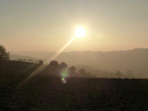 Tenuta Paradiso Sundown