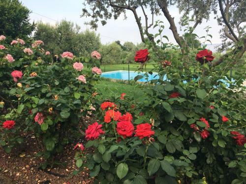 Apartamento Cascina Aurora