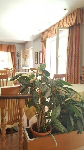 Hotel Albergo Savoia