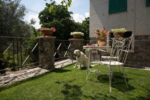 Bed & Breakfast La Casa Dei Nonni