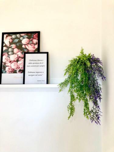 Apartamento Milano 55