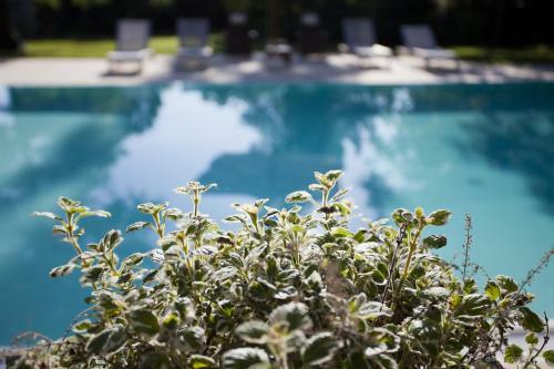 Bed & Breakfast Casino Di Pragatto