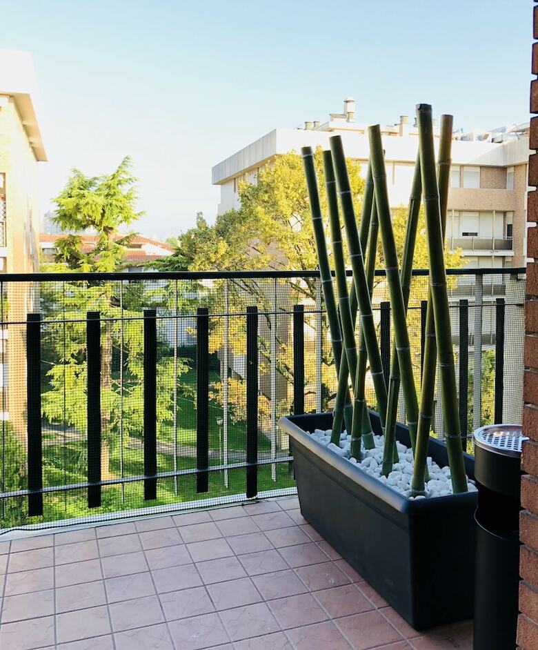 Hostal Cityhouse