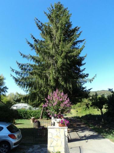 Agroturismo Casa Le Sorelline