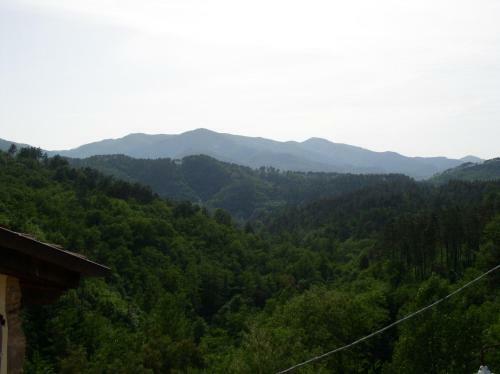 Agroturismo B&B Il Tulipano
