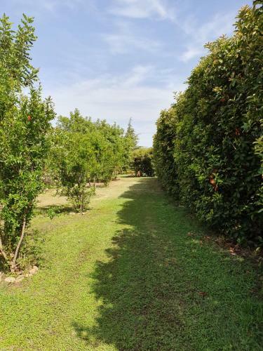 Agroturismo Casapanetta
