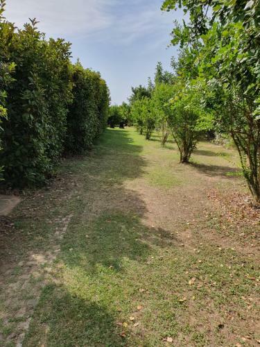 Agroturismo Casapanetta