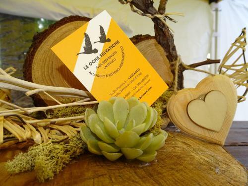 Bed & Breakfast Agriturismo Le Oche Selvatiche