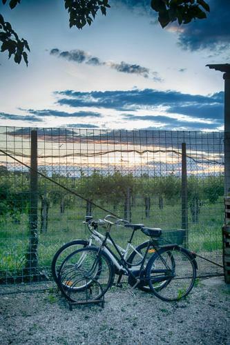 Bed & Breakfast Agriturismo Le Oche Selvatiche