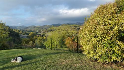 Confinedeisanti B&B