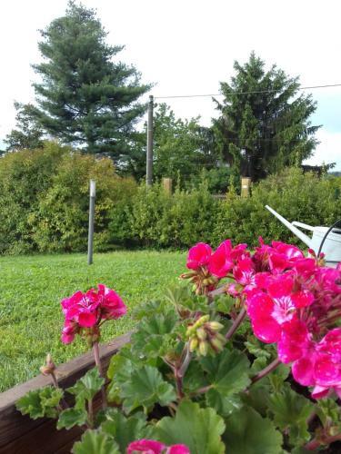 Confinedeisanti B&B