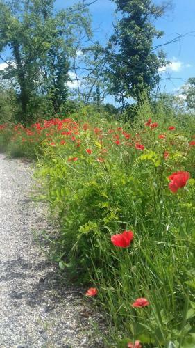Confinedeisanti B&B