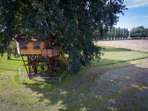 Agroturismo Agriturismo Tenuta "il Cigno"