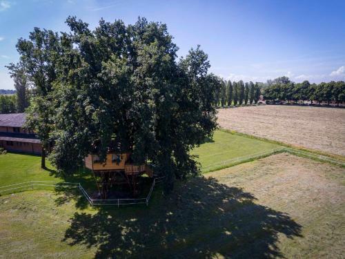 Agroturismo Agriturismo Tenuta "il Cigno"
