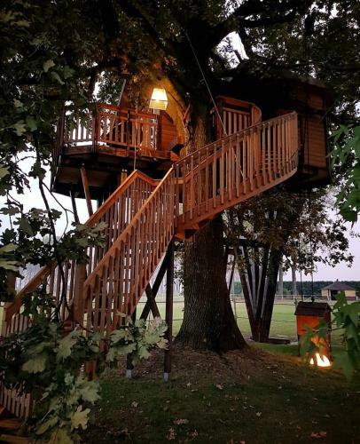 Agroturismo Agriturismo Tenuta "il Cigno"