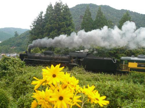 Bed & Breakfast Auberge Shikinouta