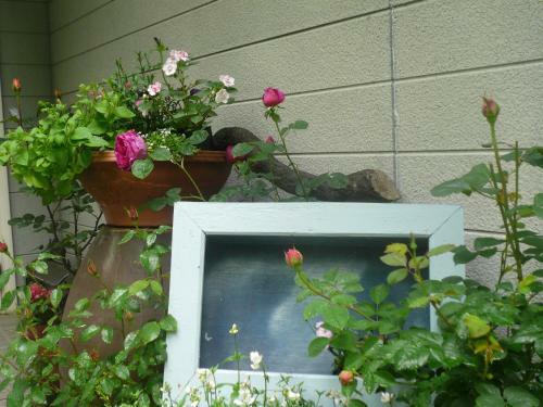 Bed & Breakfast Auberge Shikinouta
