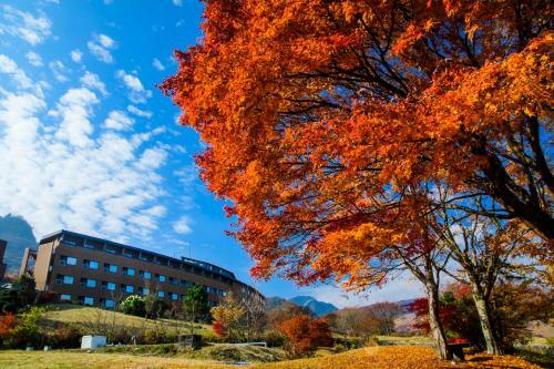 Hotel Greenpia Minamiaso