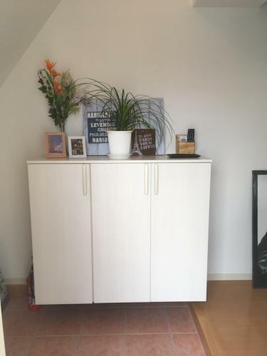Apartamento Guesthouse Tt Koza