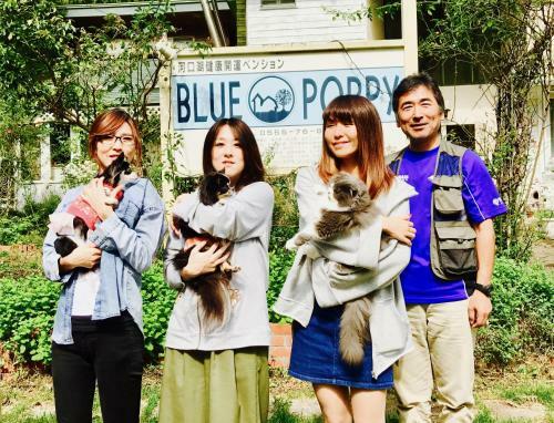 Hotel Pension Blue Poppy