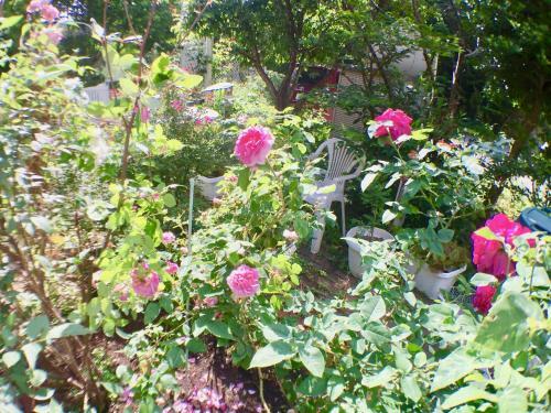 Hotel Pension Blue Poppy