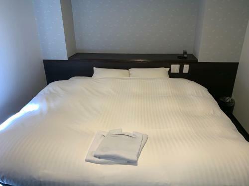 Nagoyaeki Access Hotel