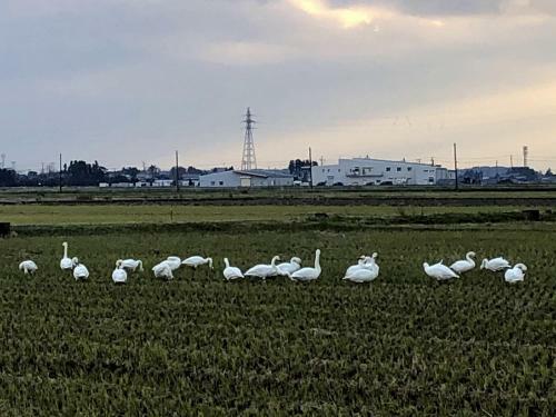 Iwamuro Slow Hostel