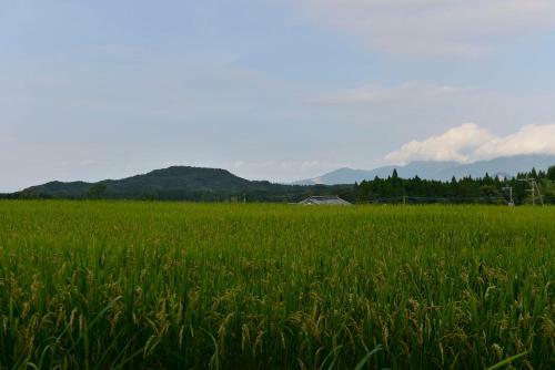 Agroturismo Genkijirushi Saenbakke