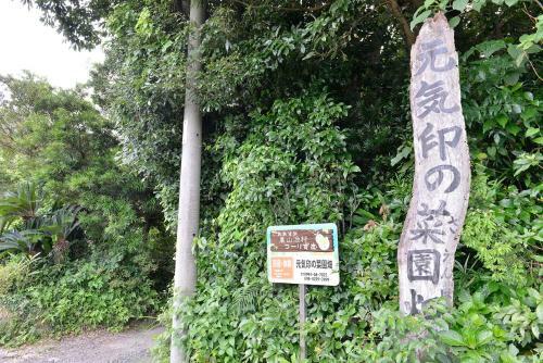 Agroturismo Genkijirushi Saenbakke