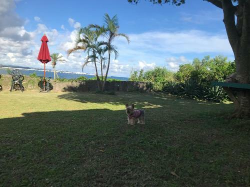 Villa Beach House Cg7p