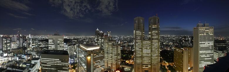 Keio Plaza Hotel Tokyo Premier Grand