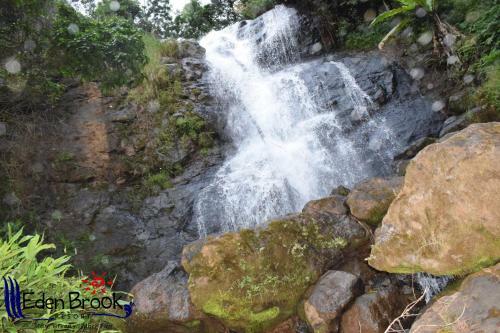 Eden Brook Resort