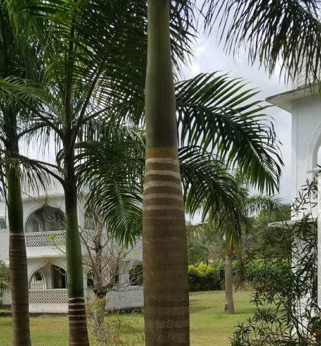 Apartamento Royal D2