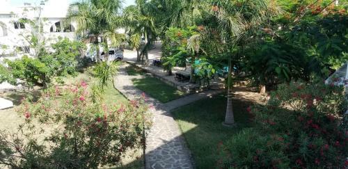 Apartamento Royal D2