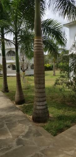Apartamento Royal D2