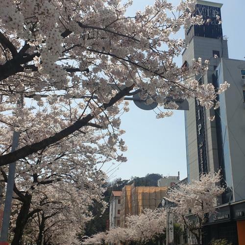 Vip Hotel Mokpo