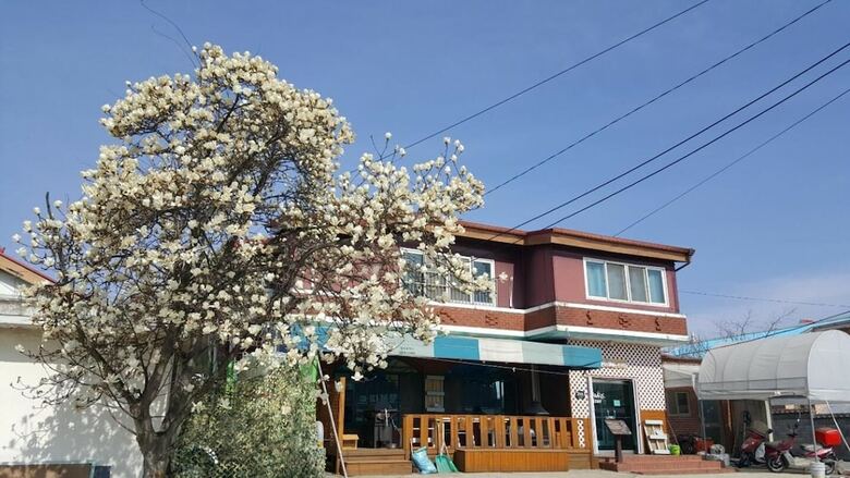 Hostal The Guesthouse Dmz Stay