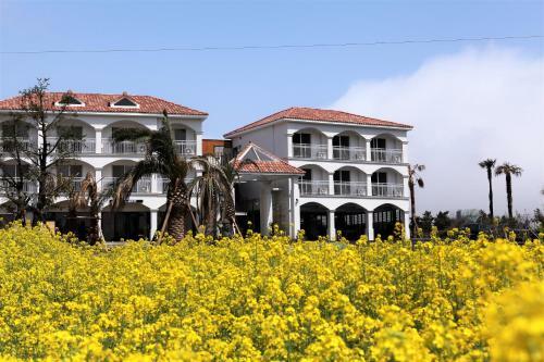 Mj Pension & Resort