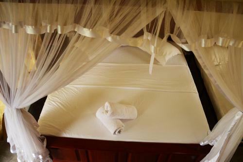 Hotel Knuckles Barefoot Inn
