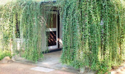 Lodge Umaya Lake