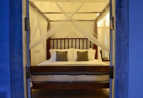 Bed & Breakfast Villa Rosa Blanca