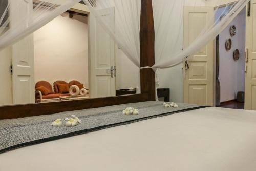 Bed & Breakfast Villa Rosa Blanca