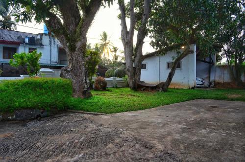 Bed & Breakfast Villa Rosa Blanca