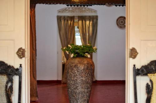 Bed & Breakfast Villa Rosa Blanca