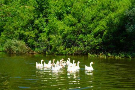 Hostal Guest House Ljudmila